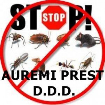 SC Auremi Prest. SRL