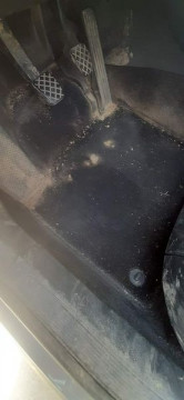Detailing Auto