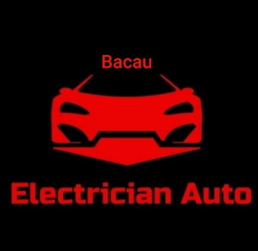 Electrician-Auto