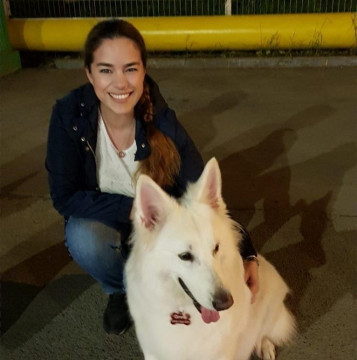 LULU The Pet Sitter , Dog Walker - Foster - Pet Premium Care