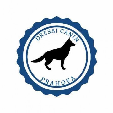 Dresaj canin in Prahova