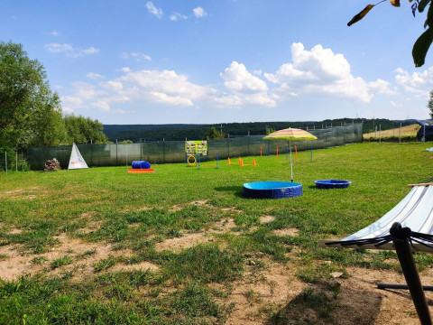 Pensiune si dresaj Canin Cluj Dogisland