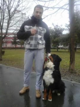 Dresaj canin Pitesti - La domiciliu clientului