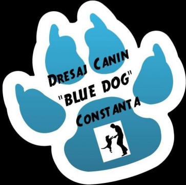 Școala de dresaj canin